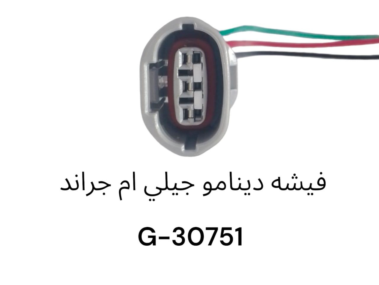 فيشة دينامو جيلي ام جرند -30751G