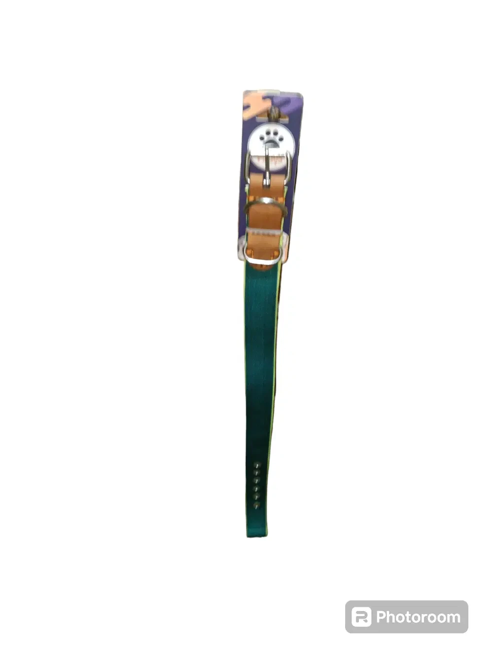 Green padded collar, large size for dogs