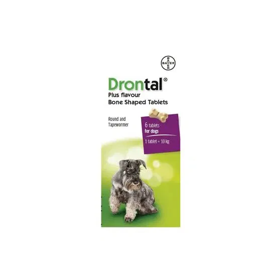 DRONTAL DOG Adult