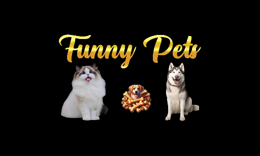 Funny pets