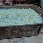 White Chocolate Despacito