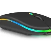 HP W10 Wireless Mouse Rechargeable