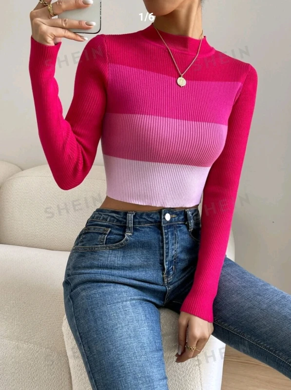 SHEIN Essnce Color Block Mock Neck Sweater